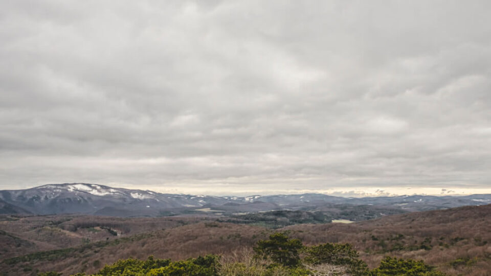 Natur Park Föhrenberge: Pfaffstättner Kogel 550m