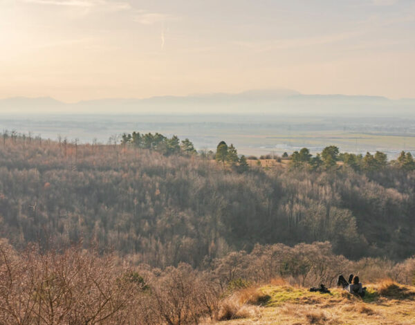 Müllendorf & Ruin Hornstein