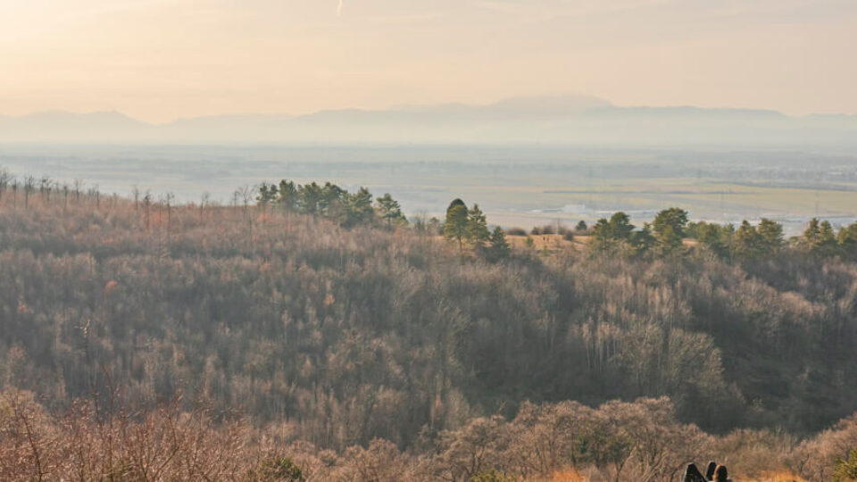 Müllendorf & Ruin Hornstein