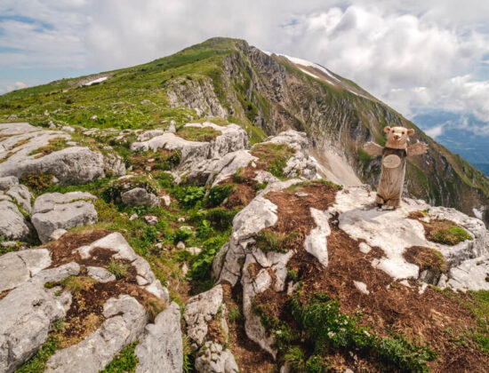 Ötscher 1893m