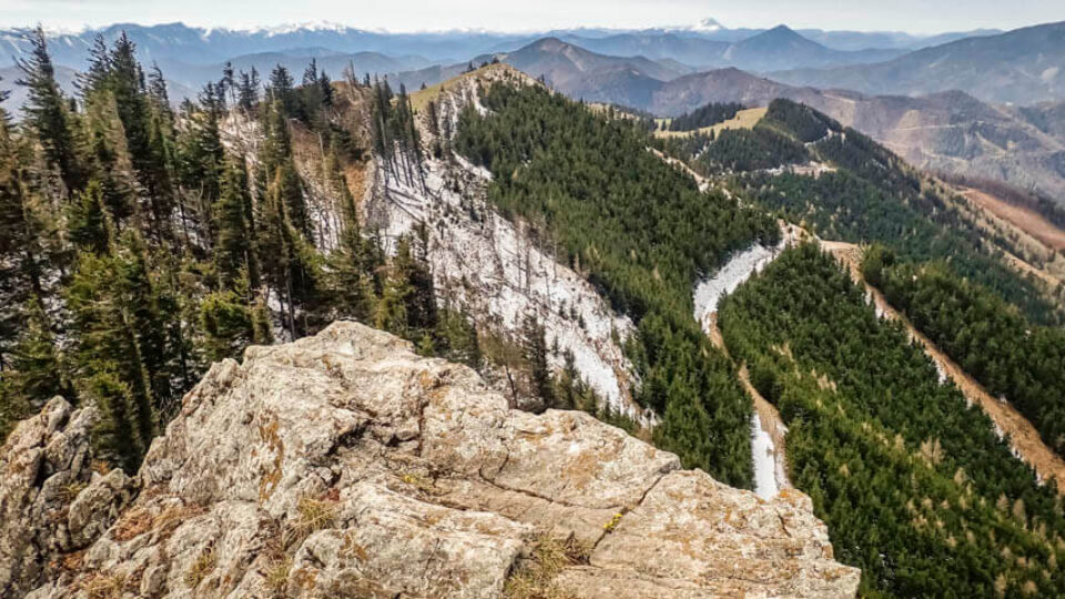Unterberg 1342m & Kirchwaldberg 1067m