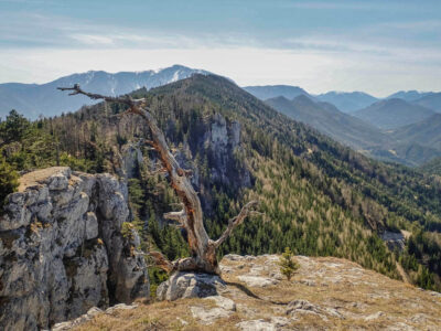 Plattenstein 1154m