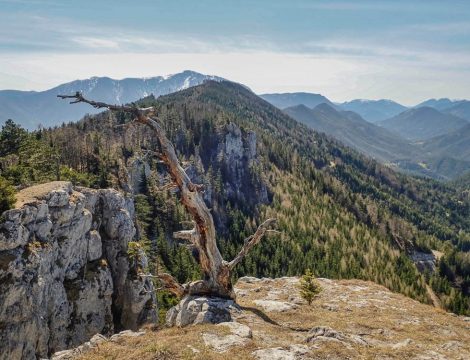 Plattenstein 1154m