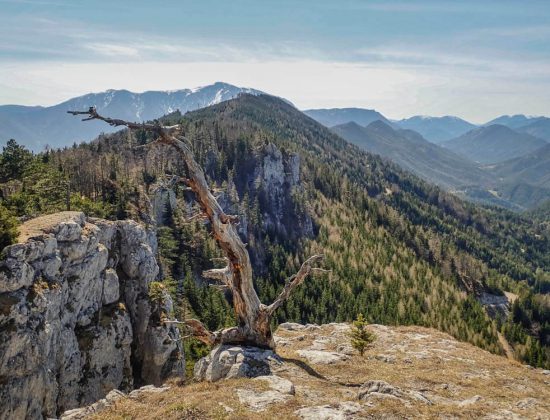 Plattenstein 1154m