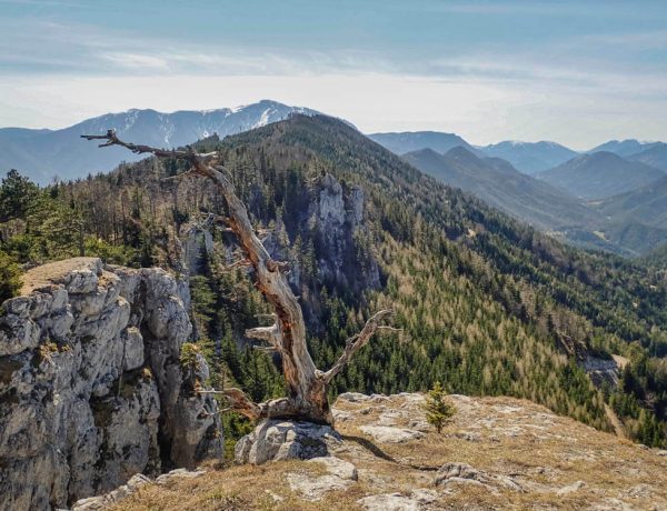 Plattenstein 1154m