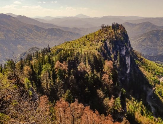 Handlesberg 1370m