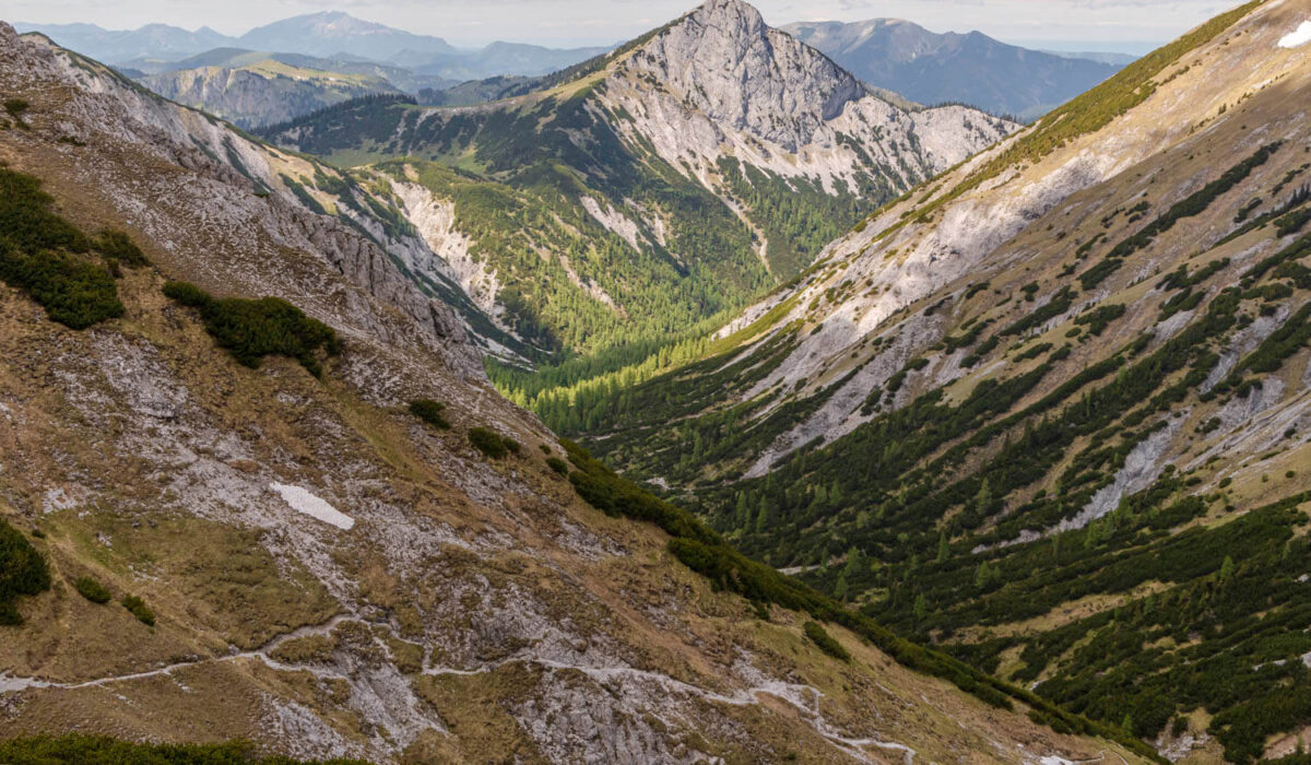 Nature Park Mürzer Oberland: Windberg 1903m