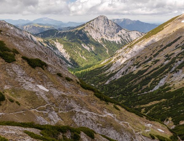 Nature Park Mürzer Oberland: Windberg 1903m