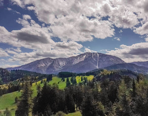Schober 1213m & Öhler 1183m