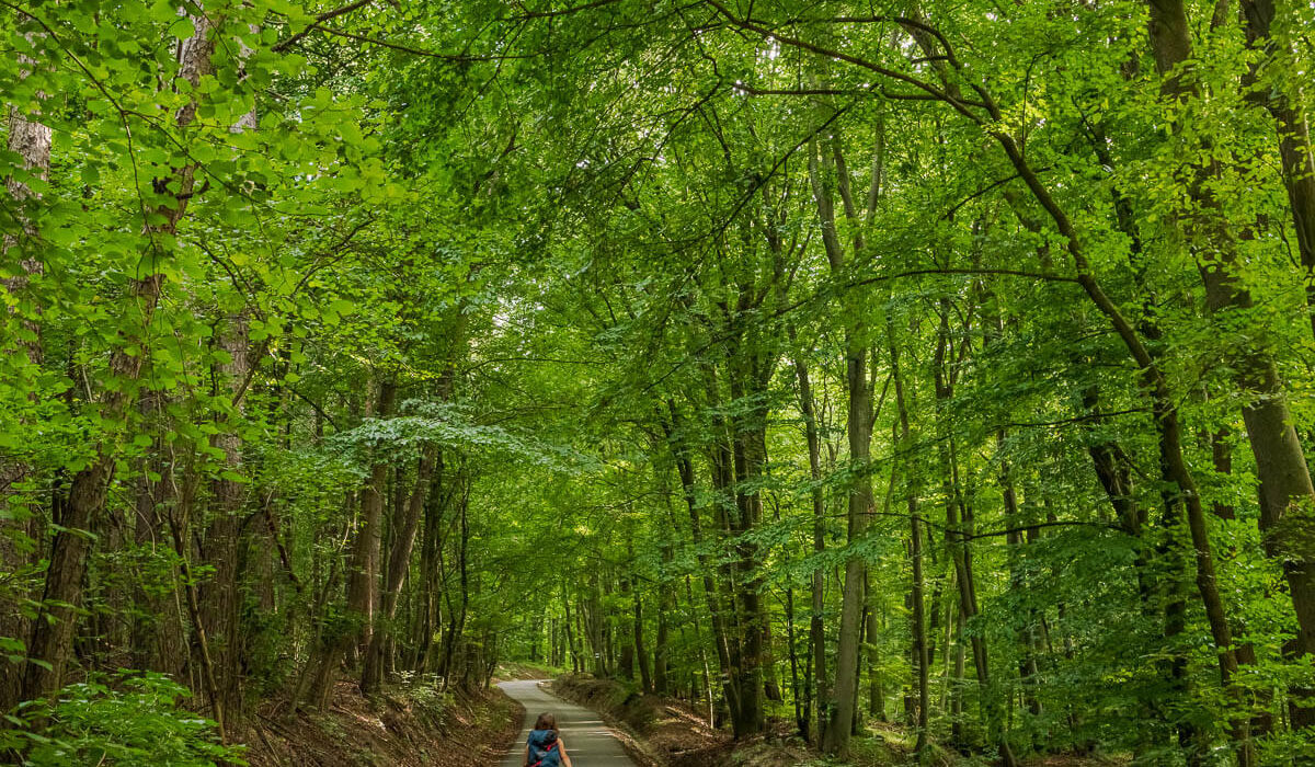 Nature Park Eichenhain: Kierling – Haselbach