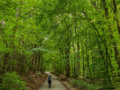 Nature Park Eichenhain: Kierling – Haselbach