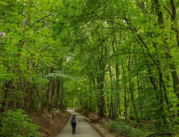 Nature Park Eichenhain: Kierling – Haselbach