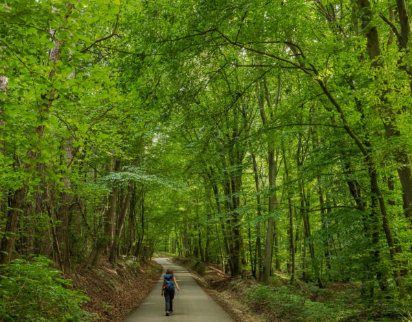 Nature Park Eichenhain: Kierling – Haselbach