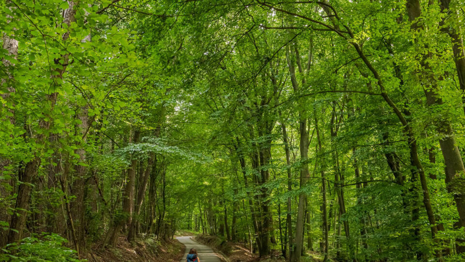 Nature Park Eichenhain: Kierling – Haselbach