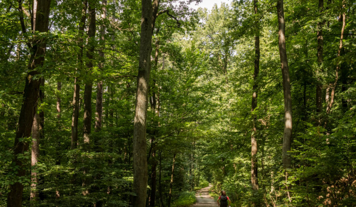 Nature Park Eichenhain: Weidling – Windischütte