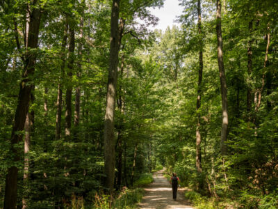 Nature Park Eichenhain: Weidling – Windischütte
