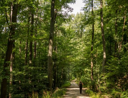 Nature Park Eichenhain: Weidling – Windischütte