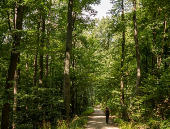 Nature Park Eichenhain: Weidling – Windischütte