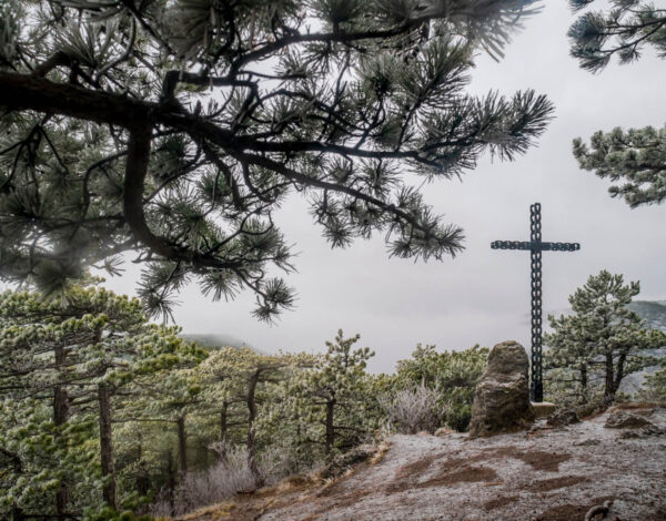 Sosser Lindkogel 713m