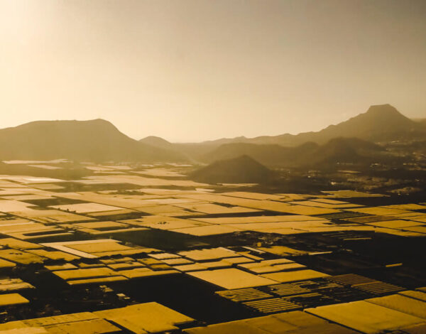 On The Way To Tenerife