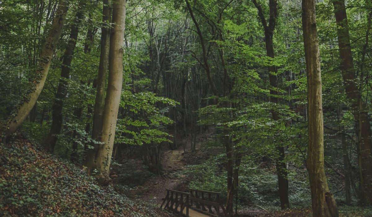 Nature Park Eichenhain