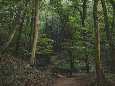 Nature Park Eichenhain