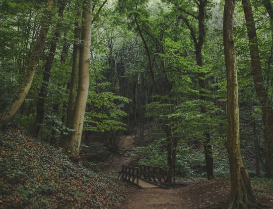 Nature Park Eichenhain