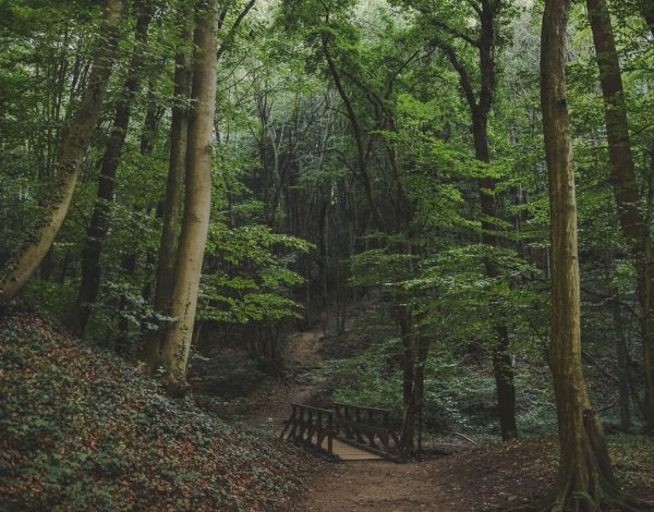 Nature Park Eichenhain