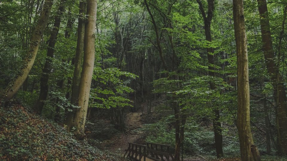 Nature Park Eichenhain