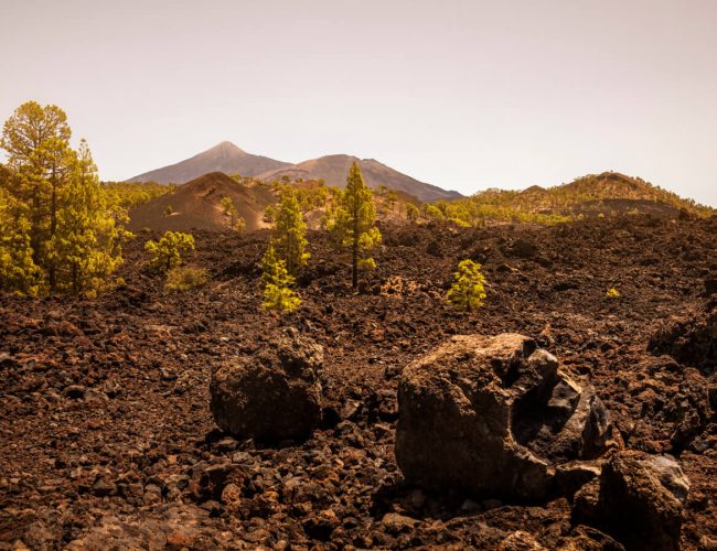 Tenerife