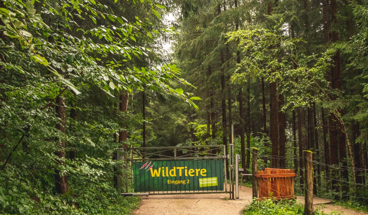 Naturpark Buchenberg: The Animal Park