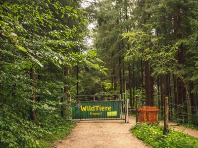 Naturpark Buchenberg: The Animal Park
