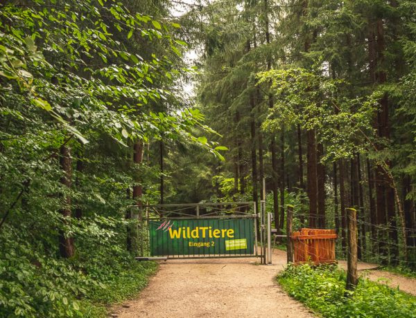 Naturpark Buchenberg: The Animal Park