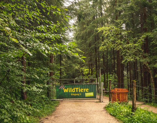 Naturpark Buchenberg: The Animal Park