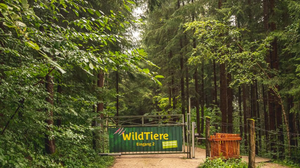 Naturpark Buchenberg: The Animal Park