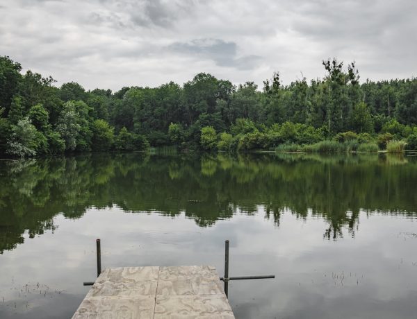 Klosterneuburger Augebiet