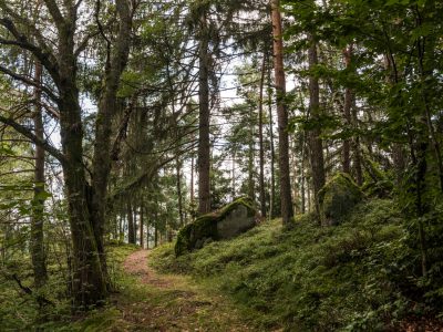 Nature Park Nordwald: Großpertholz
