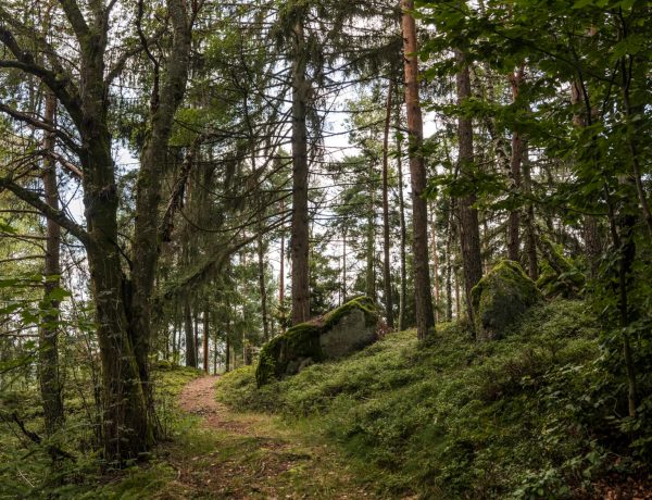 Nature Park Nordwald: Großpertholz