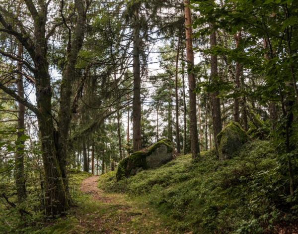 Nature Park Nordwald: Großpertholz