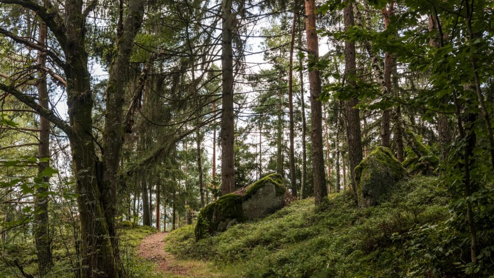 Nature Park Nordwald: Großpertholz