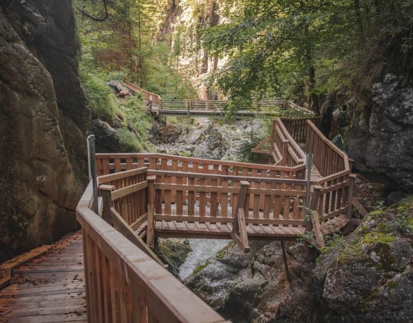 Nature Park Steirische Eisenwurzen: Nothklamm & Geopfad