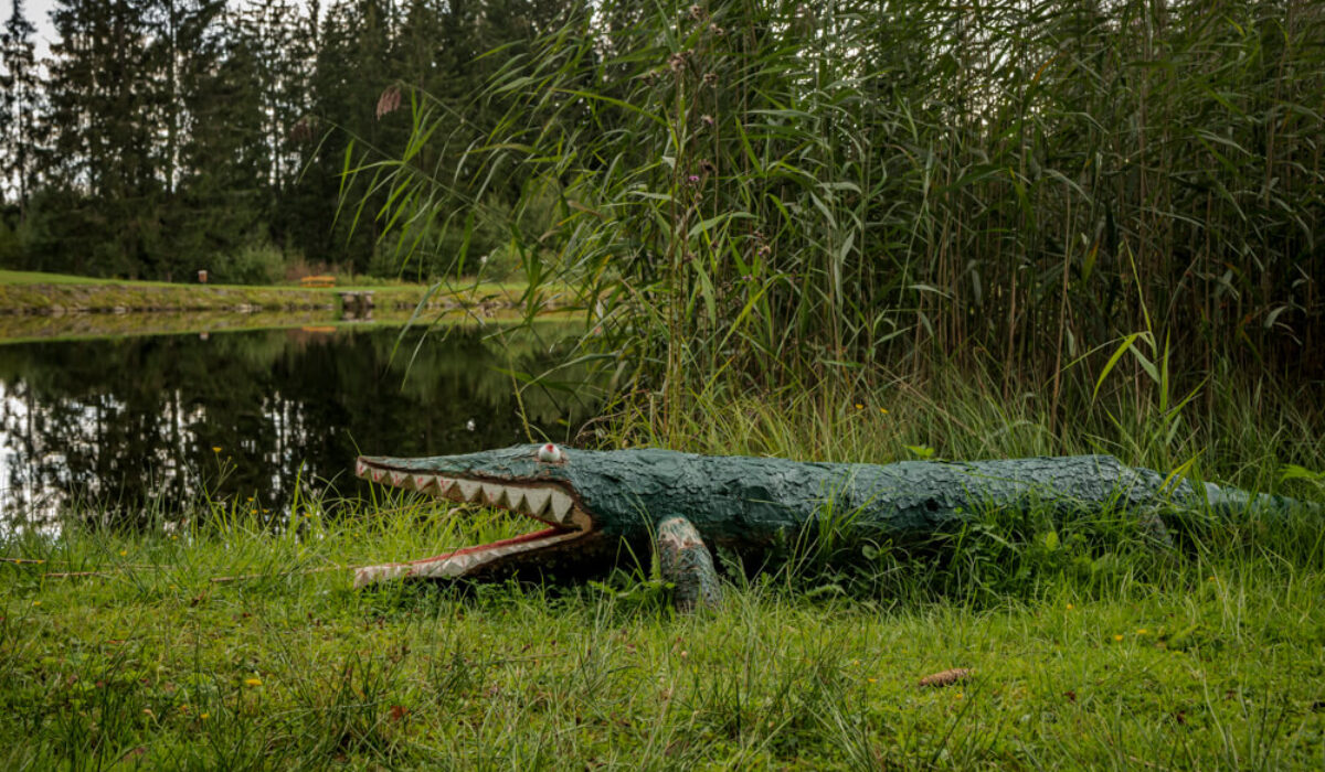 Nature Park Nordwald: Stierhübelteich