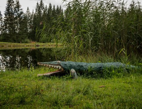 Nature Park Nordwald: Stierhübelteich