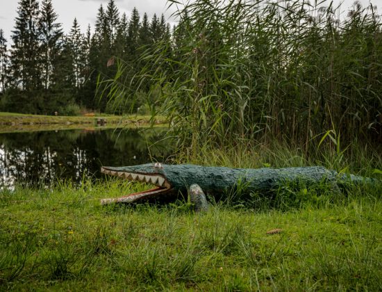 Nature Park Nordwald: Stierhübelteich