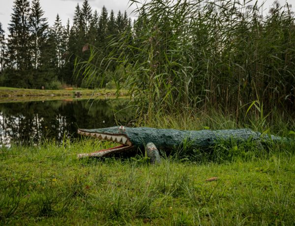 Nature Park Nordwald: Stierhübelteich