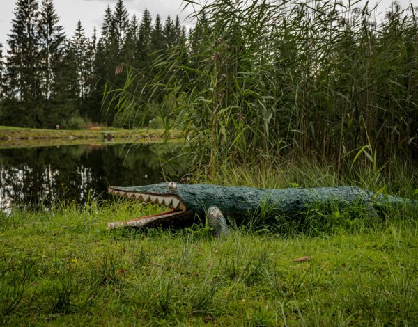 Nature Park Nordwald: Stierhübelteich