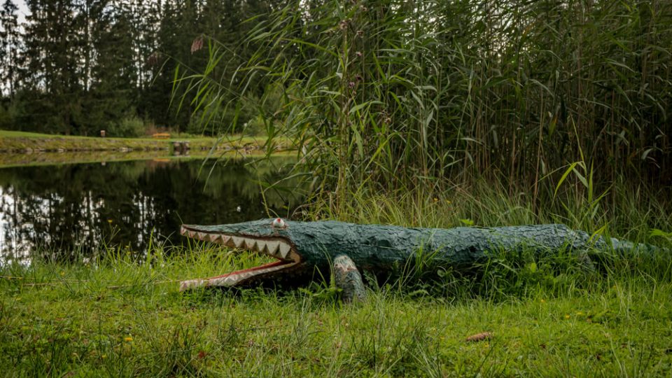 Nature Park Nordwald: Stierhübelteich