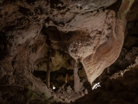 The Little Treasure Of The Xerris