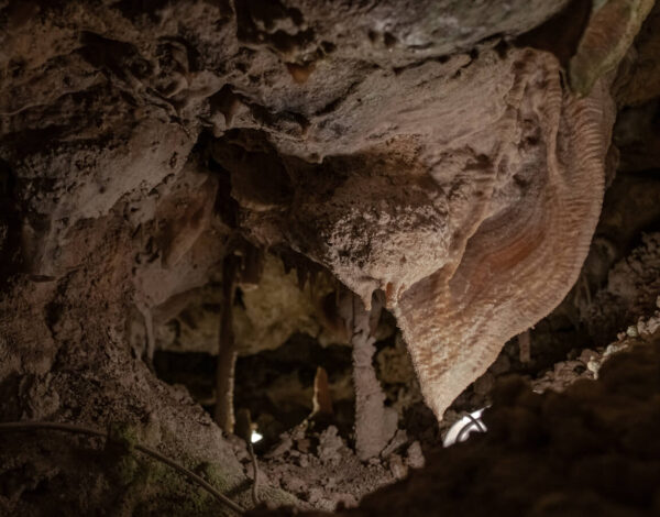 The Little Treasure Of The Xerris