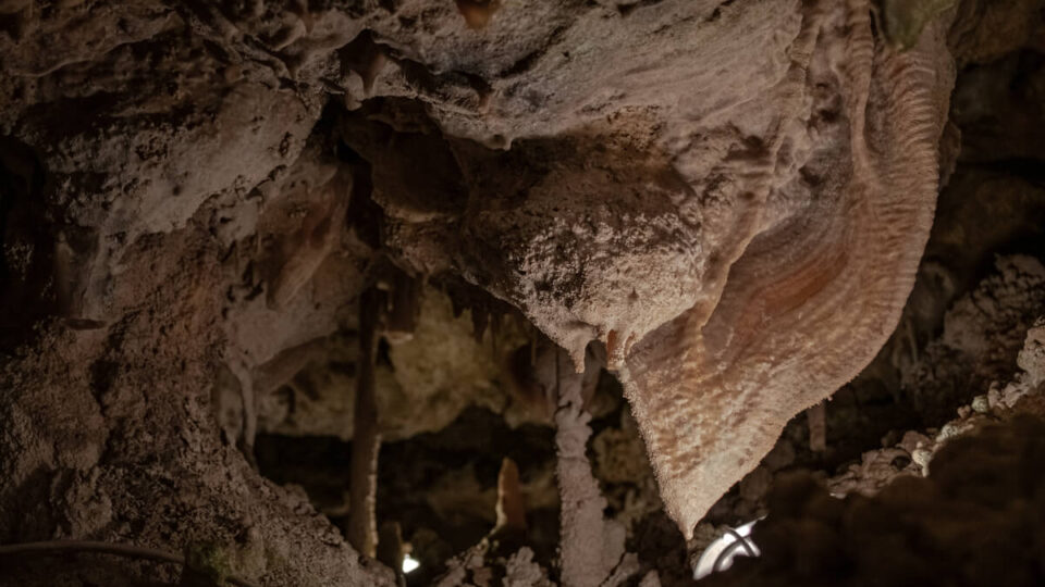 The Little Treasure Of The Xerris